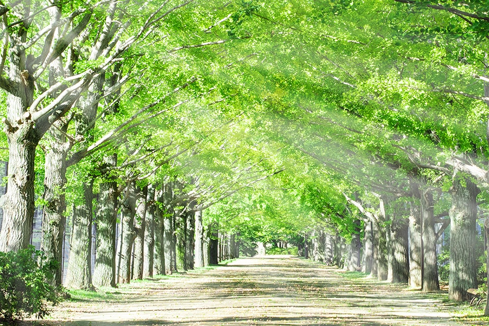 空室情報のアイコン