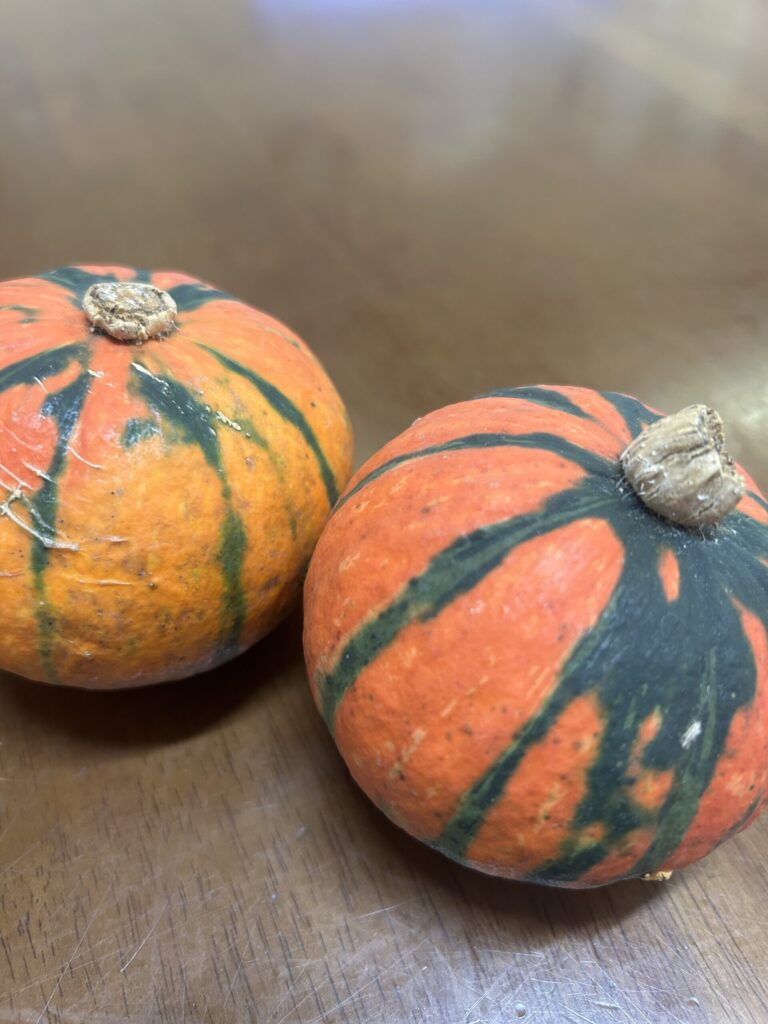 これなんだ⁈のサムネイル画像