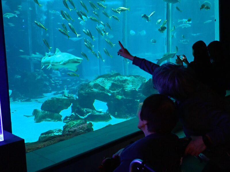 【前編】マリンワールドへのバスハイク🚌のサムネイル画像